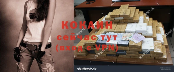 стаф Балахна
